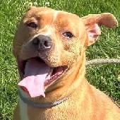 8 Johnson